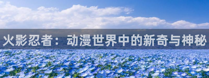 风车动漫(p)_专注动