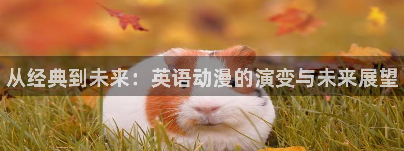 白色相簿2风车动漫