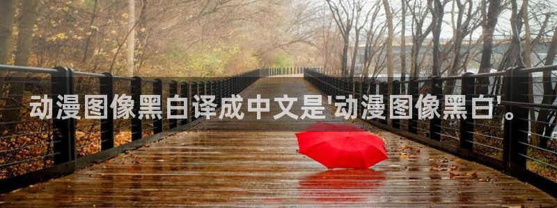 风车动漫网dm530