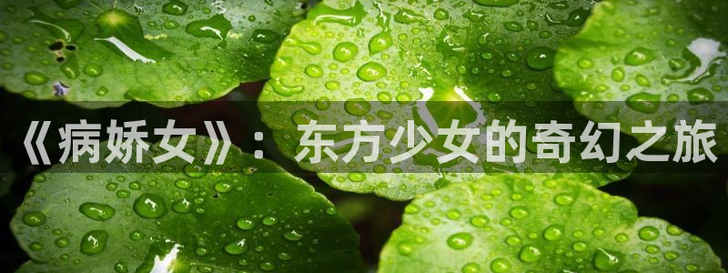 风车动漫官网在线