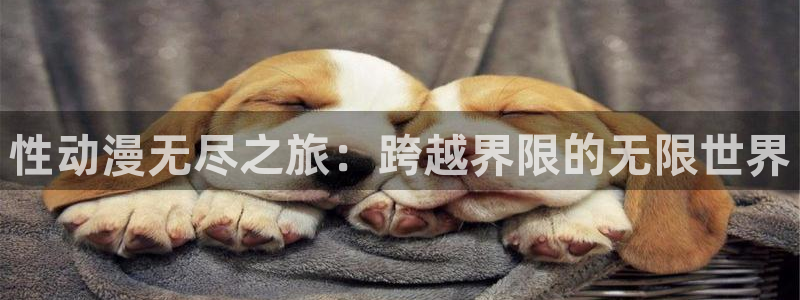 风车动漫正版下载