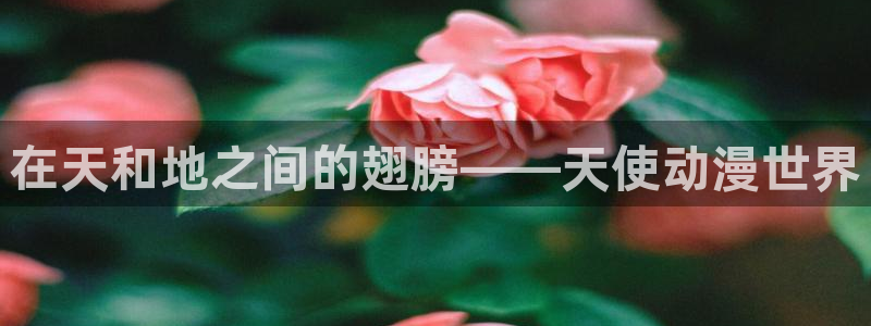 风车动漫在线观看动漫第8集