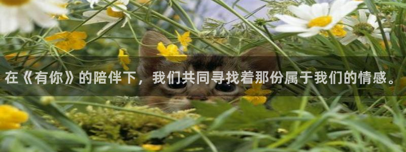 樱花动漫风车动漫专注动漫的
