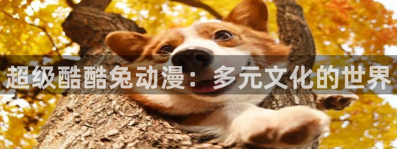 风车动漫网站(p)