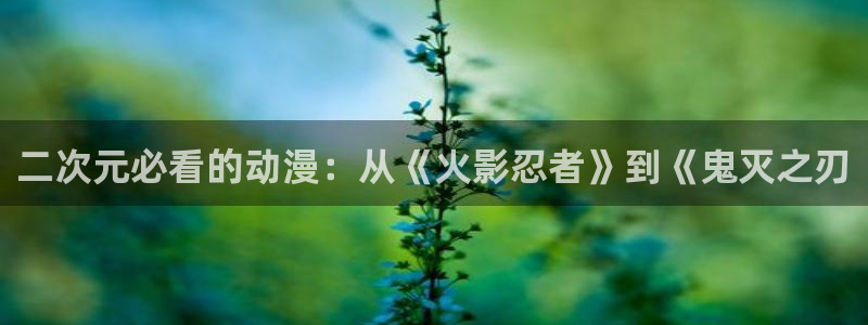 xl上司风车动漫
