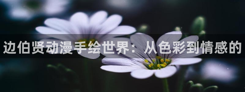 风车动漫(p)在线观看