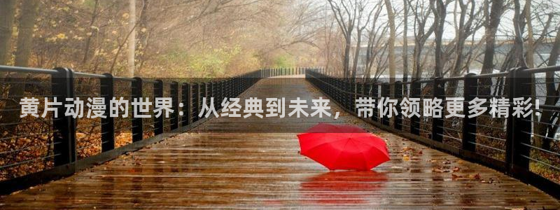 风车动漫下载免费版