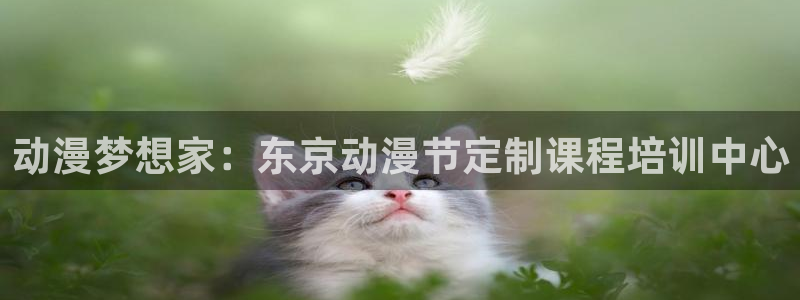 天降女子风车动漫