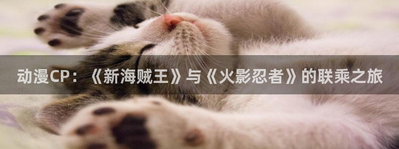 我独自升级动漫风车动漫