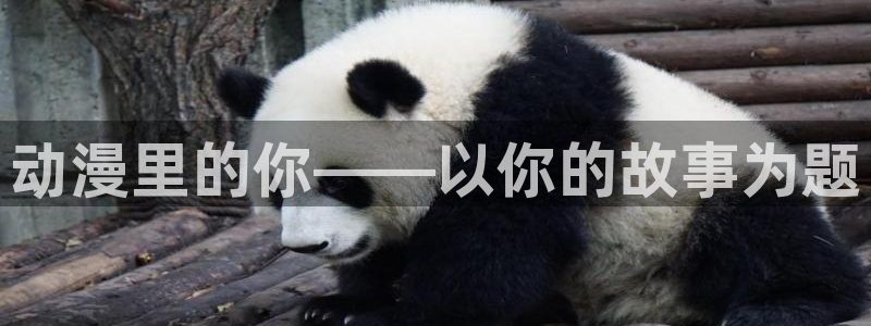 风车动漫新世界动漫