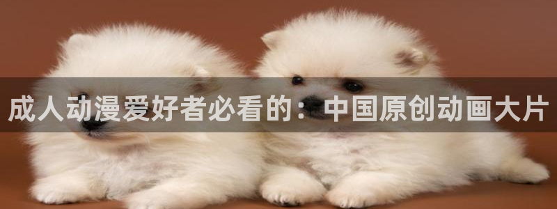风车动漫哇