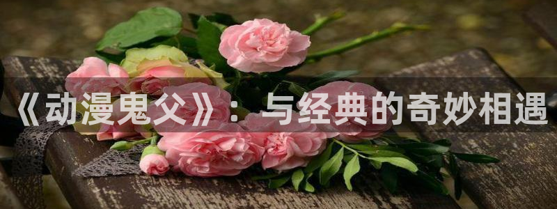 风车动漫专注的门户网站-专注的门户