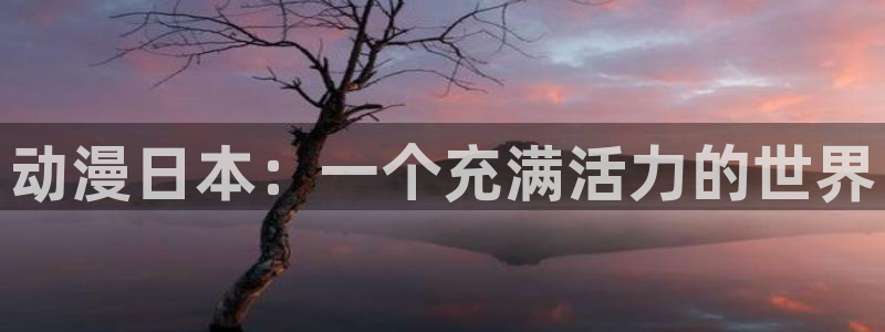 风车动漫迪迦奥特曼：动漫日本：一个充满活力的世界
