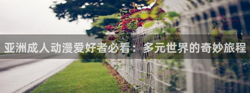 风车动漫在线观看手机：亚洲成人动漫爱好者必看：多元世界的奇妙旅程