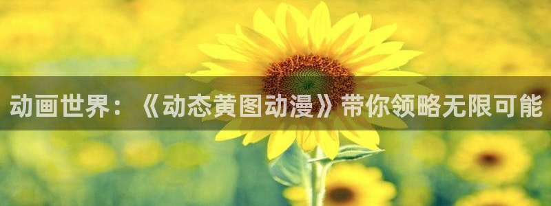 风车动漫官网在线观看入口：动画世界：《动态黄图动漫》带你领略无限可能