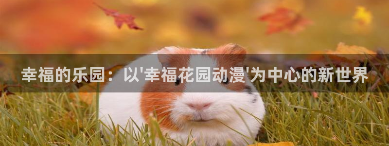 风车动漫(p)-：幸福的乐园：以\'幸福花园动漫\'为中心的新世界