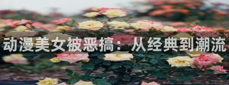 风车动漫手机网：动漫美女被恶搞：从经典到潮流