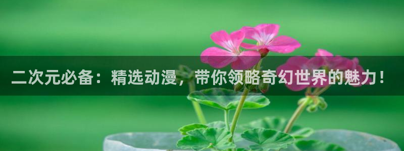 风车动漫天降女子：二次元必备：精选动漫，带你领略奇幻世界的魅力！