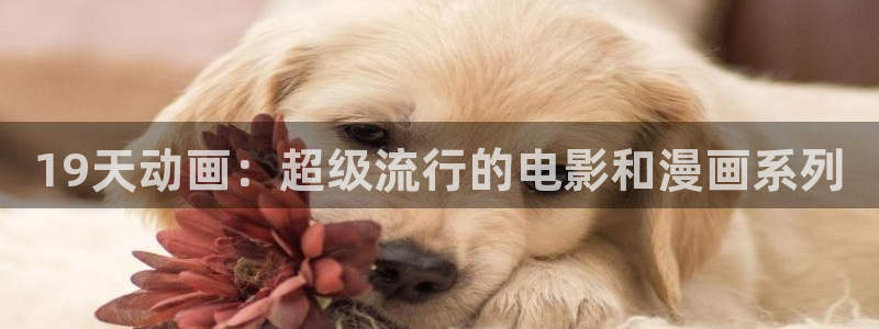 风车动漫在线观看视频免费：19天动画：超级流行的电影和漫画系列