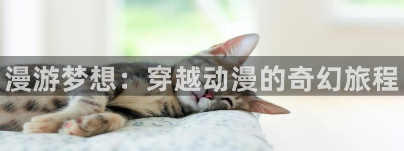 风车动漫网手机版：漫游梦想：穿越动漫的奇幻旅程