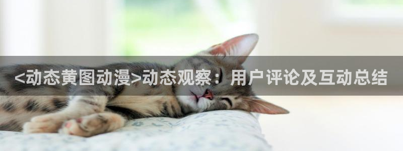 风车动漫正版免费：<动态黄图动漫>动态观察：用户评论及互动总结