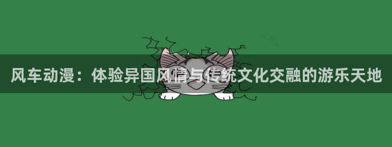 风车动漫免费看：风车动漫：体验异国风情与传统文化交融的游乐天地
