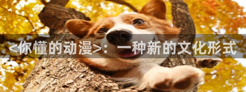 噬血狂袭风车动漫：<你懂的动漫>：一种新的文化形式