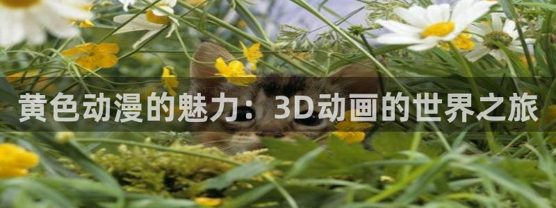 破解版风车动漫：黄色动漫的魅力：3D动画的世界之旅