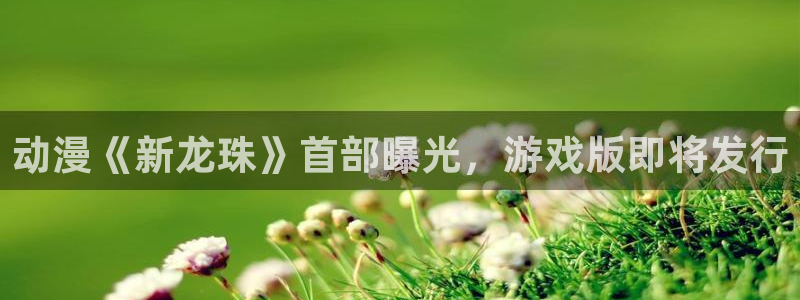 风车动漫app下载：动漫《新龙珠》首部曝光，游戏版即将发行