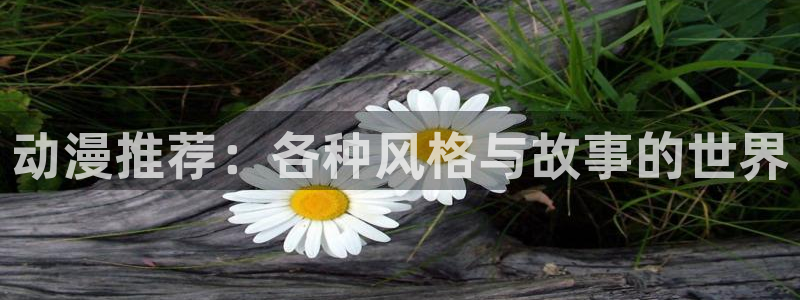 风车动漫资源下载：动漫推荐：各种风格与故事的世界