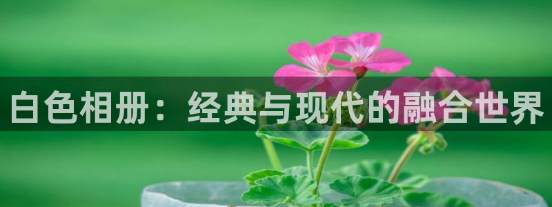 风车动漫樱花动漫